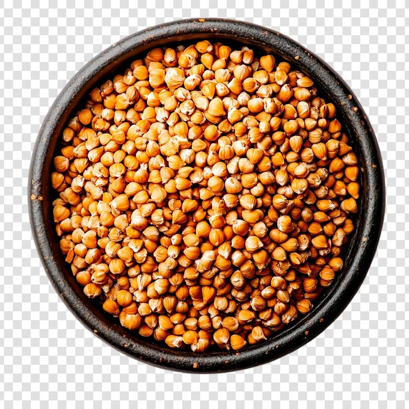 Sorghum (Jawari) Hover