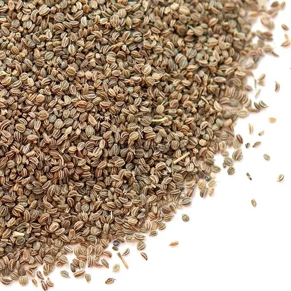 Celery Seed (Ajmod) Hover