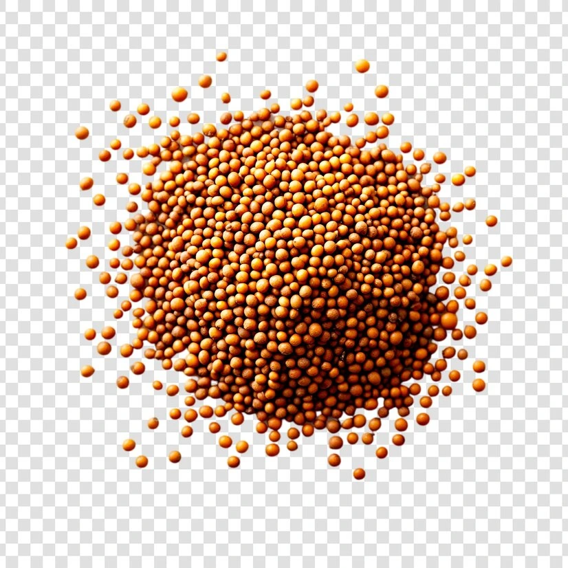 Mustard Seeds (Sarason) Hover